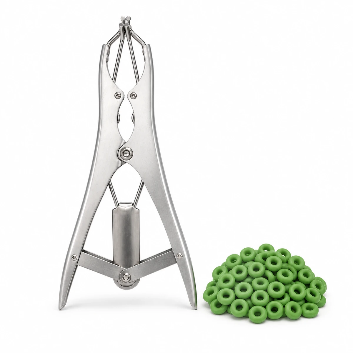Castration bander, steel or plastic. Calving and castration tools
