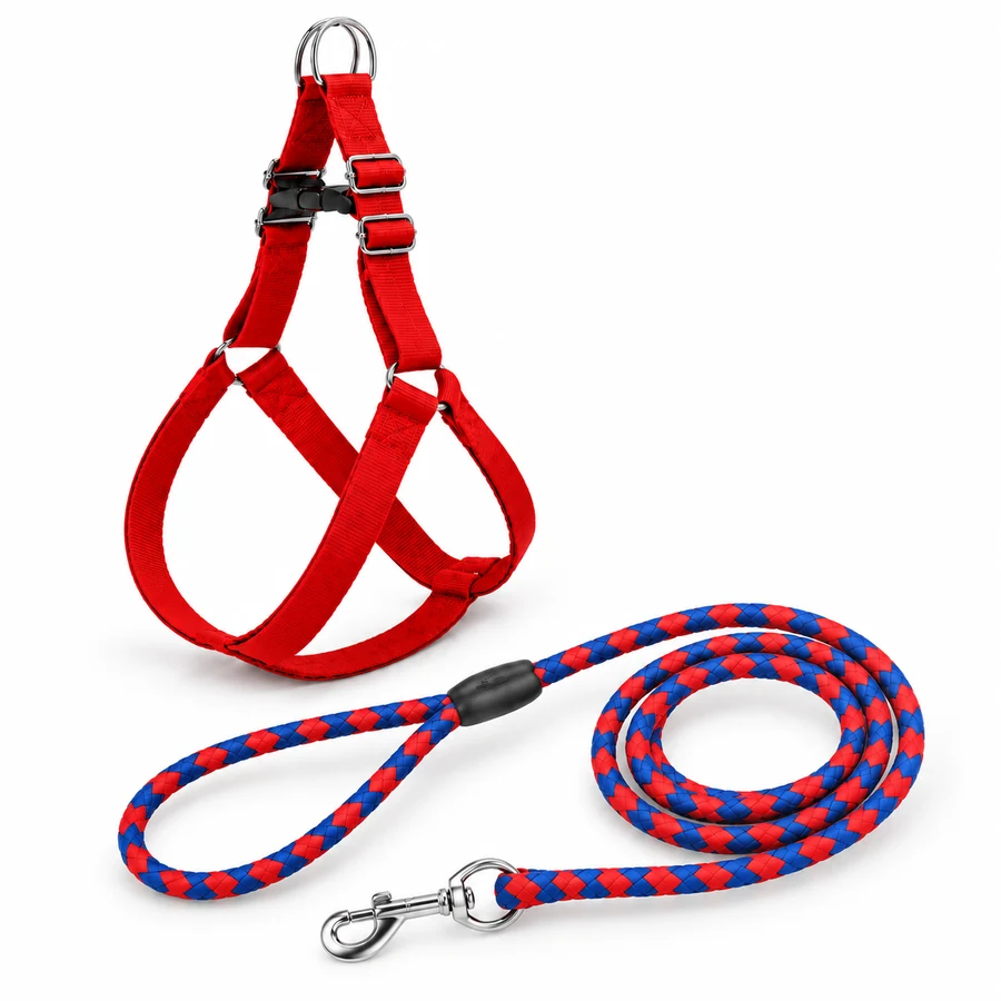 Dog leash and harness set, round rope, 3 sizes, red-blue
