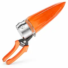Grafting shear, tree branch. Pruning secateurs and garden saws