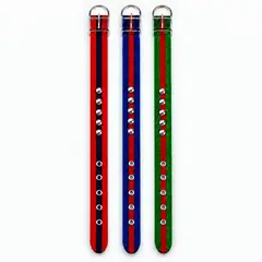 Goat leg band, nylon, steel studs. Grooming and shearing tools