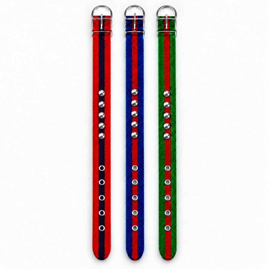 Goat leg band, nylon, steel studs. Grooming and shearing tools