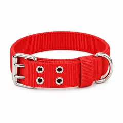 Dog collar, nylon, metal buckle. Dog collars and leashes