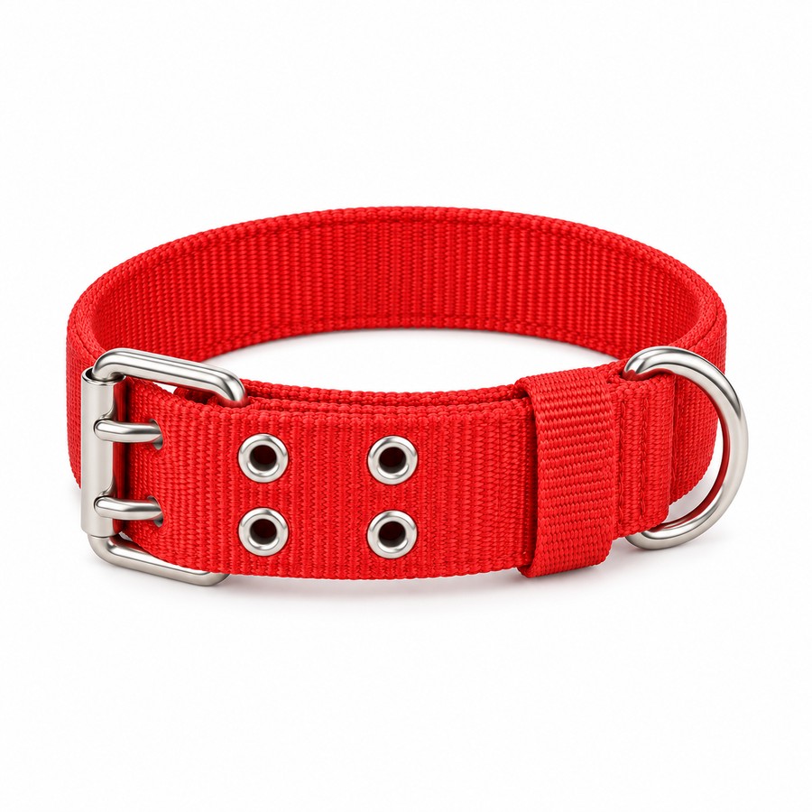 Dog collar, nylon, metal buckle. Dog collars and leashes