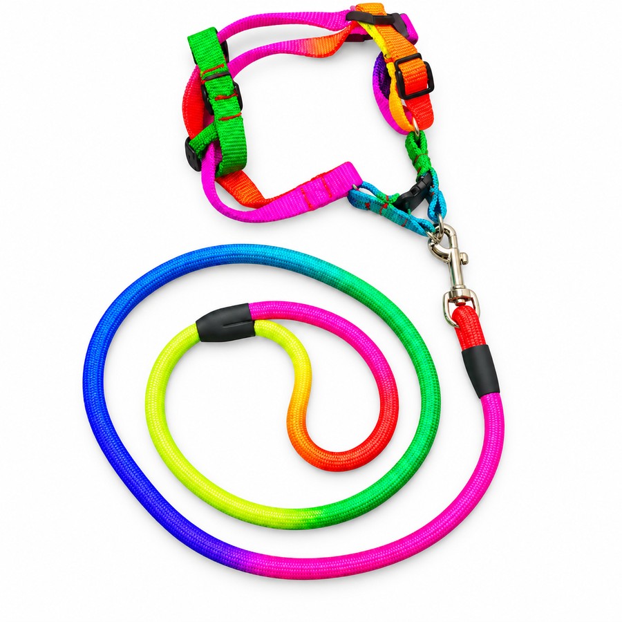 Dog leash and harness set, rainbow. Dog collars and leashes