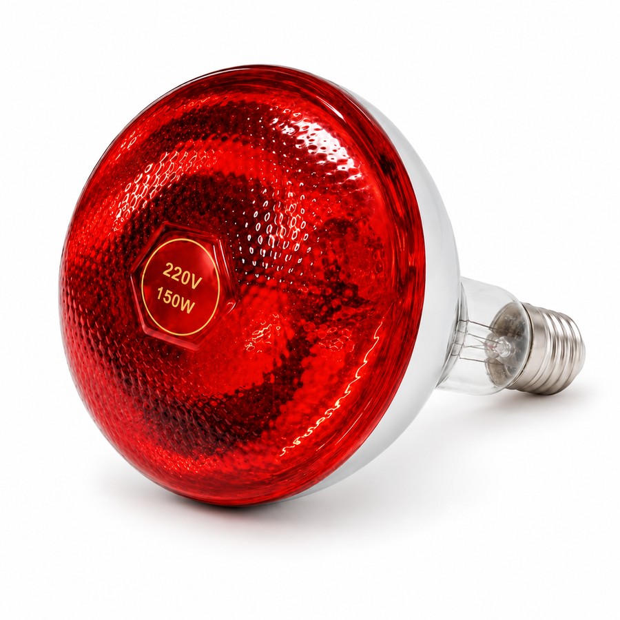 Infrared heat bulb, red, 150 W. Infrared brooder heat bulbs. It is also called heat lamp or brooder bulb.