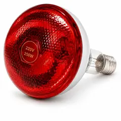Infrared heat bulb, red, 250 W. Infrared brooder heat bulbs. It is also called heat lamp or brooder bulb.